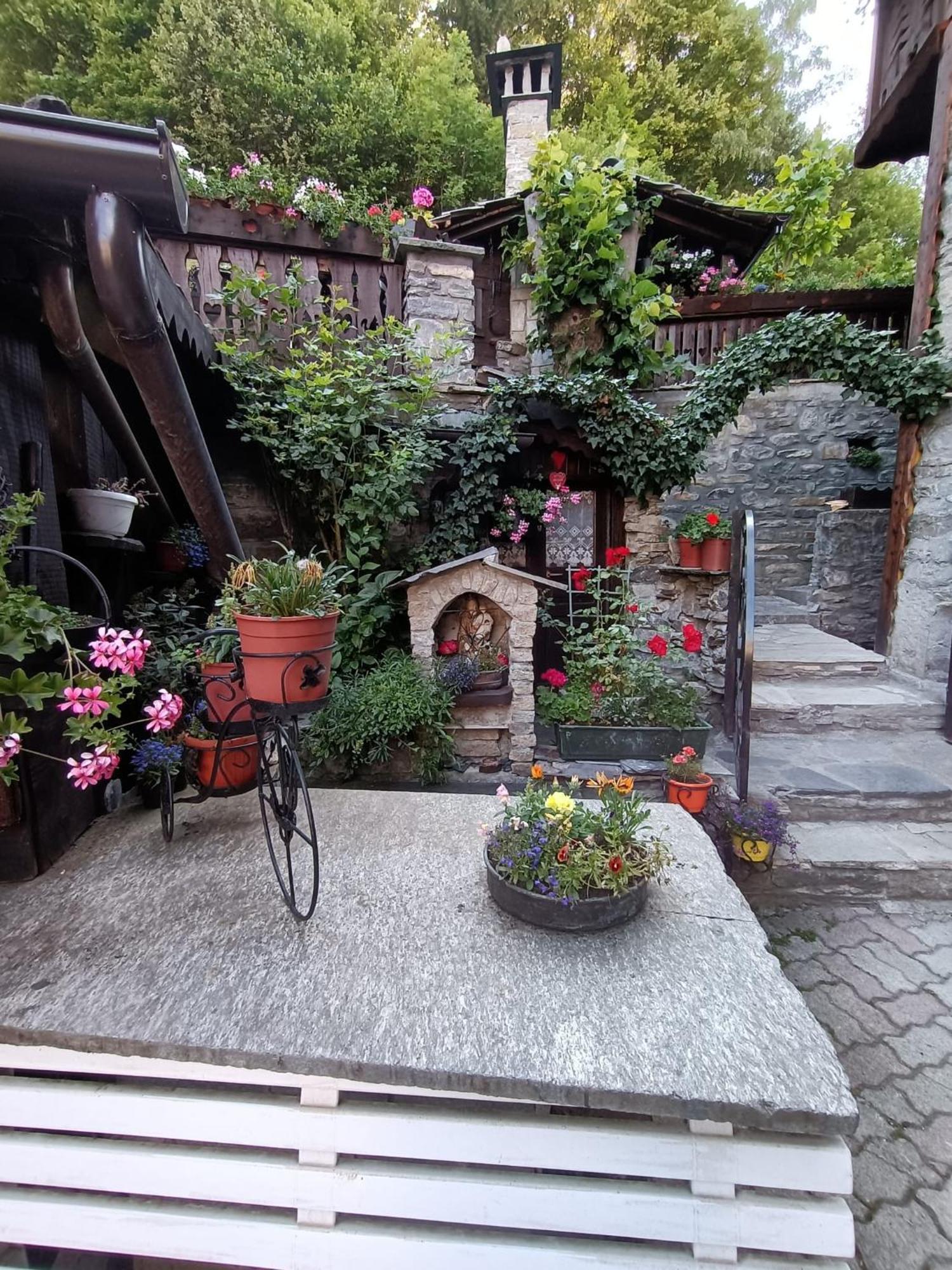普雷圣迪迪埃Le Grenier De Olga E Mario公寓 外观 照片